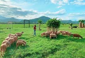 Du Lịch Nha Trang 2 Ngày 1 Đêm – Tour Nổi Bật Nhất 2021