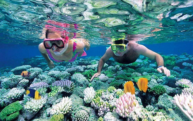 Tour Câu Cá, Lặn Ngắm San Hô Phía Nam Đảo Phú Quốc [Hấp Dẫn, Giá Rẻ] Nhất