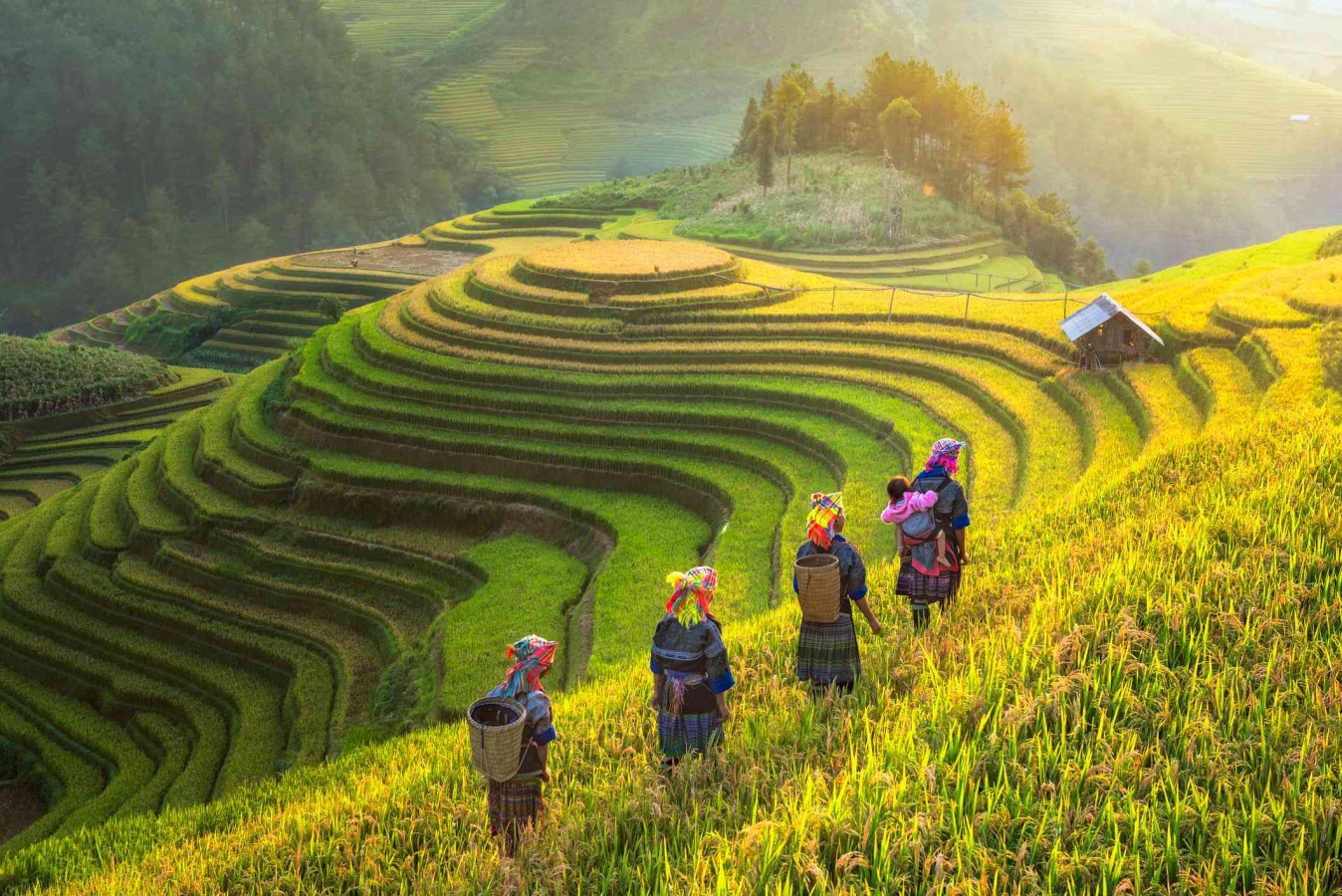 Tour Du Lịch Ghép Sapa 1 Ngày Giá Rẻ, Hấp Dẫn Nhất [GIẢM 23%]