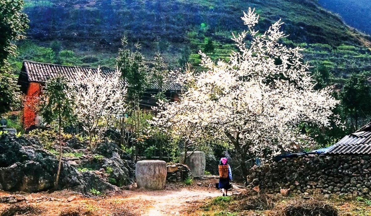 Tour Miền Bắc 5N4D: Hà Giang - Cao Nguyên Đồng Văn - Thác Bản Giốc - Pác Pó - Động Ngườm Ngao