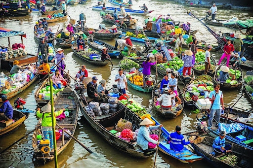 Tour Du Lịch Miền Tây 2N1D: Tiền Giang - Bến Tre - Cần Thơ [Mới Nhất 2022]