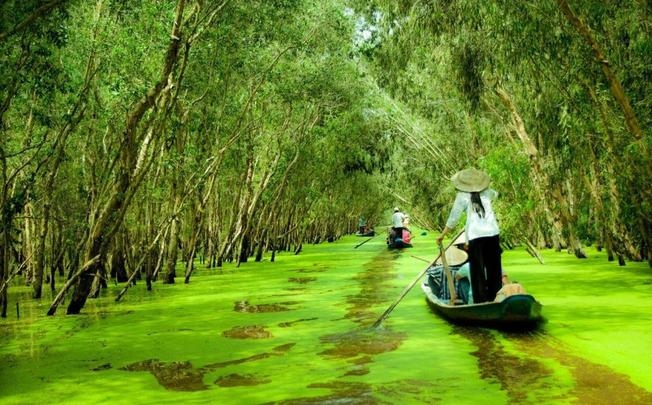 Tour Du Lịch Miền Tây 3N2D: Mỹ Tho - Bến Tre - Cần Thơ - Châu Đốc [Hot Nhất]