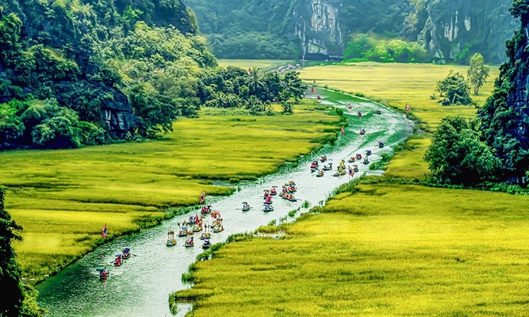 Tour Du Lịch Ninh Bình 1N: Hoa Lư - Tam Cốc - Hang Múa