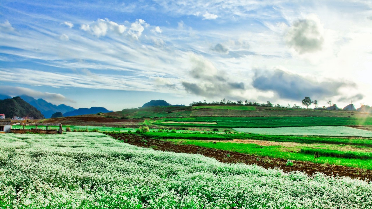 Tour Du Lịch Mộc Châu - Thung Nai 2 Ngày